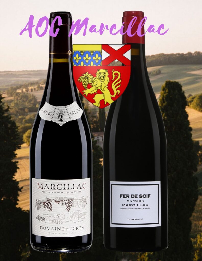 Bouteilles de AOC Marcillac: Domaine du Cros, Lo Sang del Pais, Marcillac, 2019, Fer de Soif, Mansois, Marcillac, Lionel Osmin, 2019.