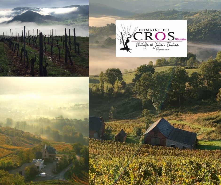Domaine du Cros: chai et vignobles
