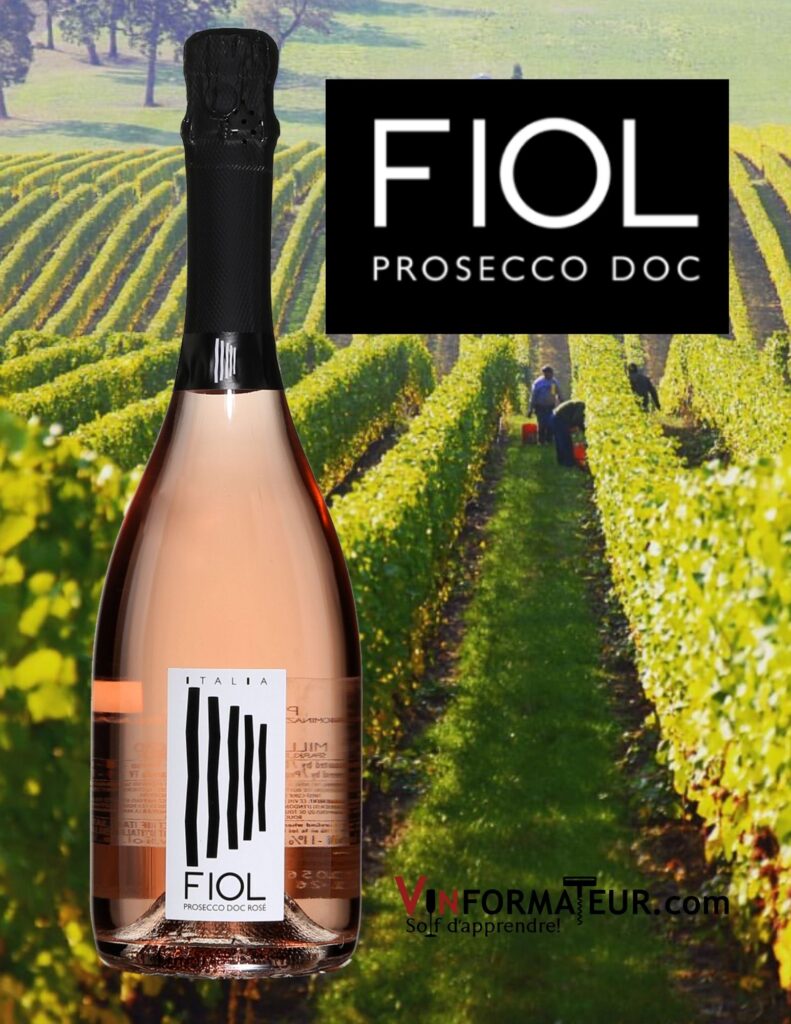 Bouteille de Fiol Prosecco rosé, Extra sec, Italie, Vénétie