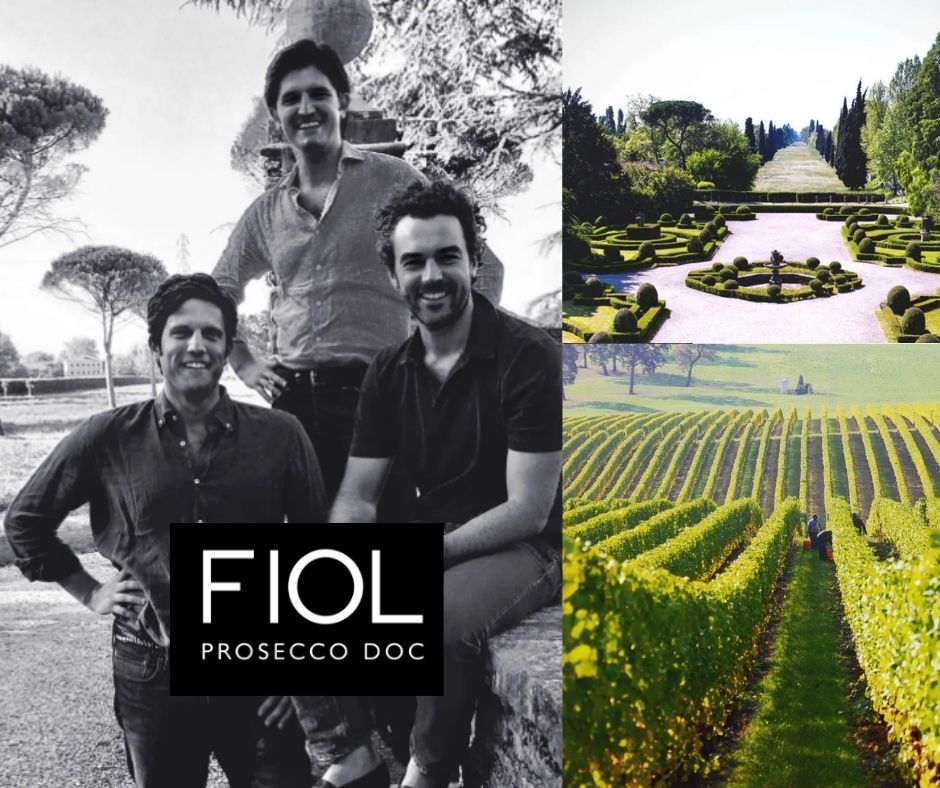 Fiol Prosecco: partenaires, vignobles