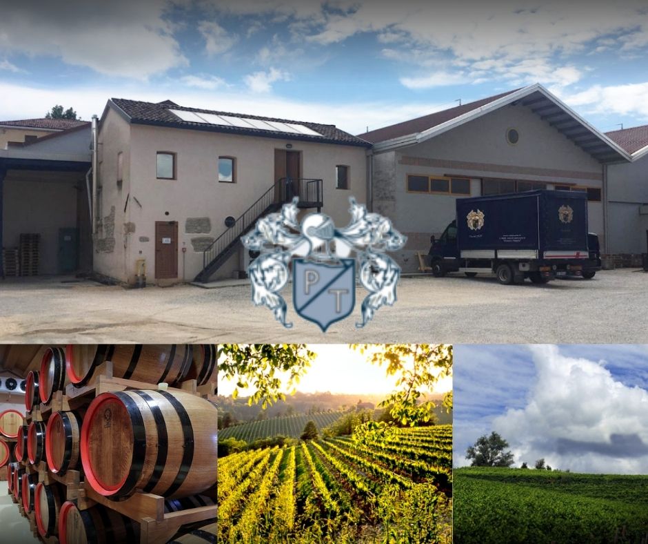 Vini Tonon: chai, vignobles
