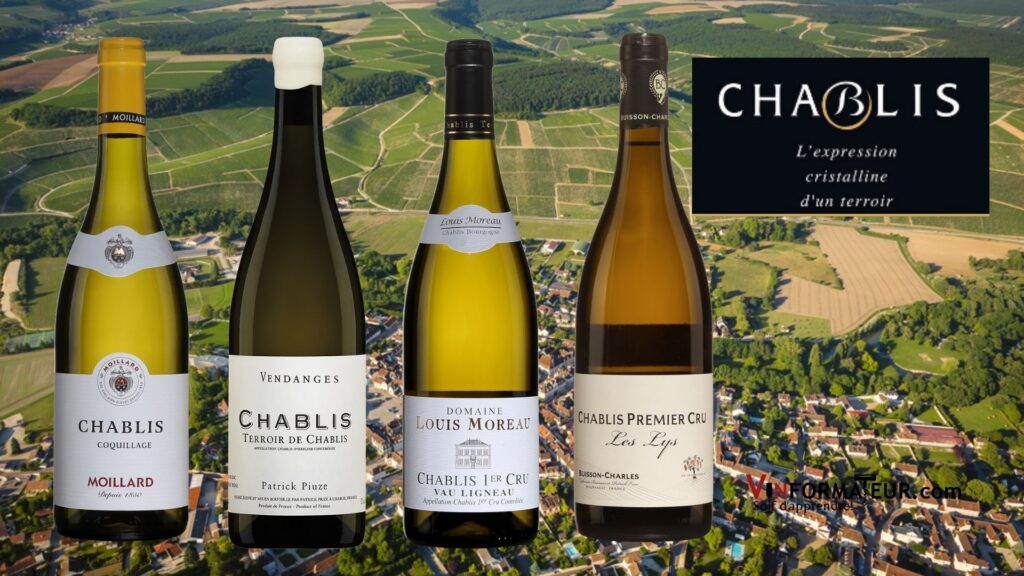 Vins de Chablis: Coquillage, Moillard, Chablis, 2020, Terroir de Chablis, Parick Piuze, Chablis, 2020, Domaine Louis Moreau, Chablis 1er Cru, Vau Ligneau, 2019, Domaine Buisson-Charles, Chablis 1er Cru, Les Lys, 2019.