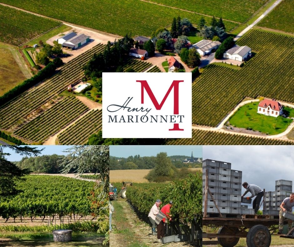 Domaine de la Charmoise: chai et vignobles