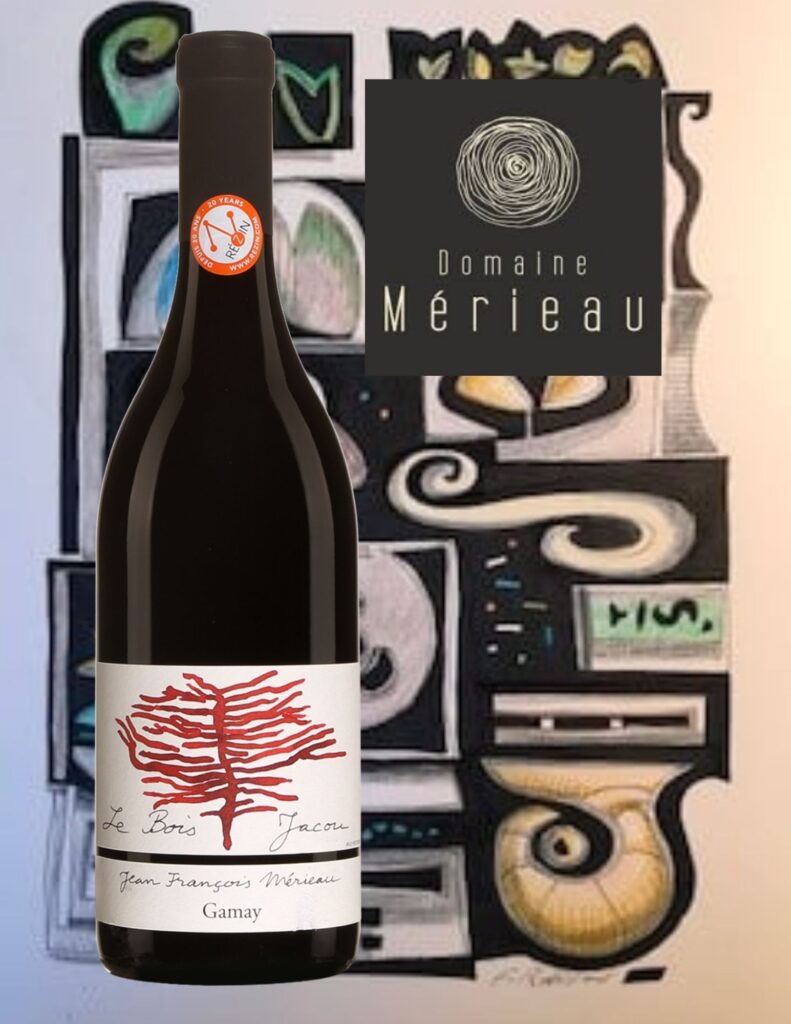 Bouteille de Le Bois Jacou, Gamay, Val de Loire, Touraine, Domaine des Bois Vaudons, vin rouge, 201