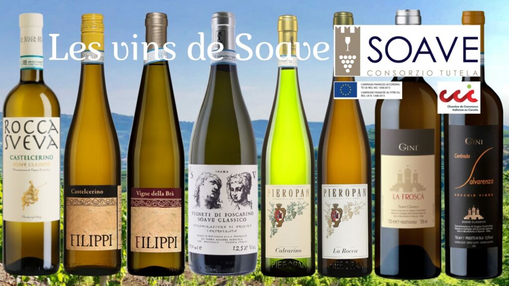 Les vins de l’appellation Soave. Des coups de cœur assurés!!
