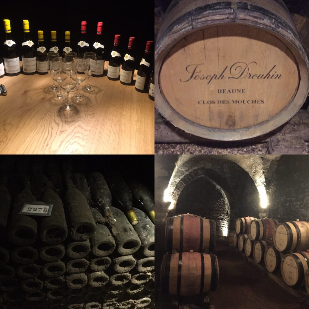 Photos de voyage Vinformateur - Joseph Drouhin Beaune
