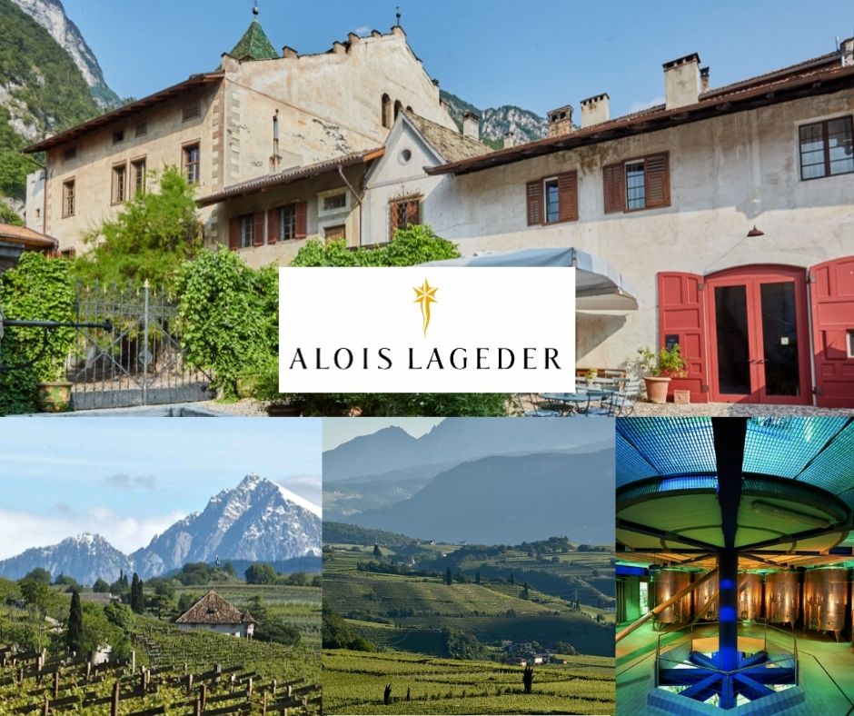 Domaine Alois Lageder: chai et vignobles