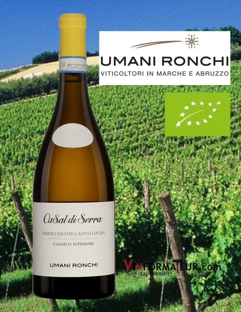 Bouteille de Casal di Serra, Italie, Marches, Verdicchio dei Castelli di Jesi DOC, Classico Superiore, Umani Ronchi, vin blanc bio, 2020