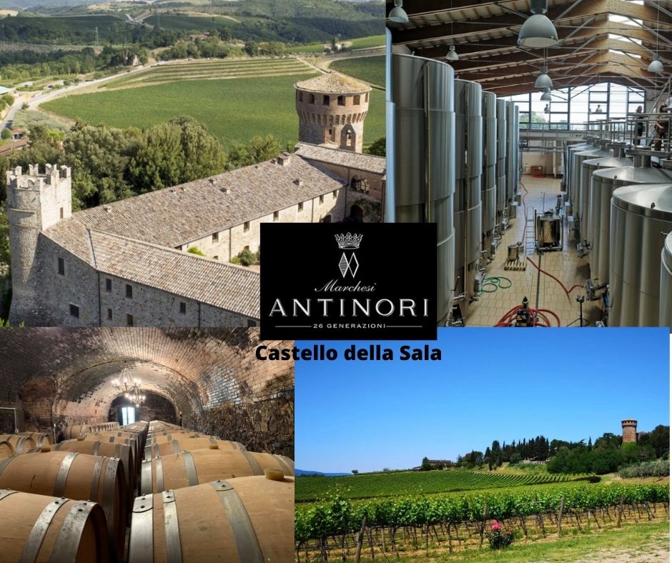 Castello della Sala: château, chai et vignobles, Marchesi Antinori
