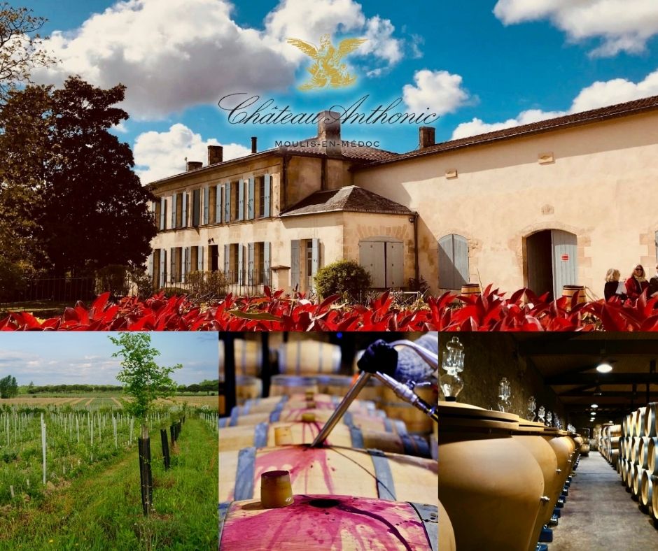 Château Anthonic: château, chai et vignobles