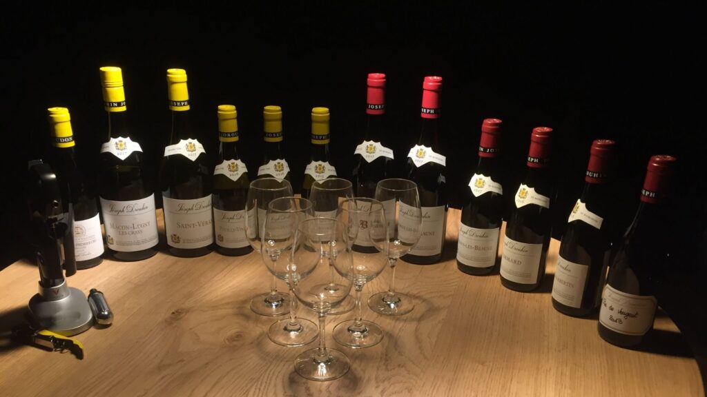 Dégustation vins de la maison Joseph Drouhin