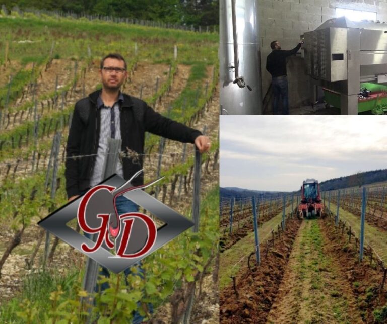 Domaine Gérard Dubreuil: chai et vignobles