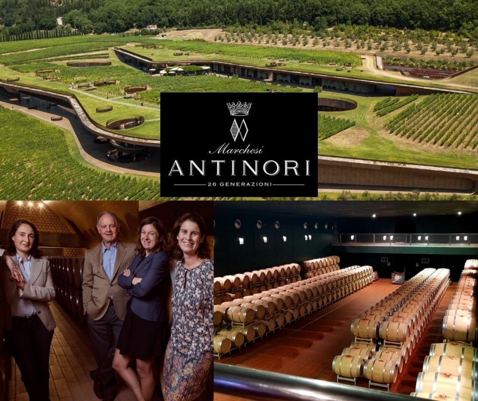 Marchesi Antinori: famille Antinori, chai