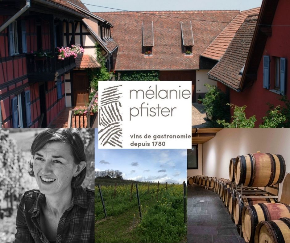 Domaine Mélanie Pfister: Mélanie Pfister, chai et vignobles