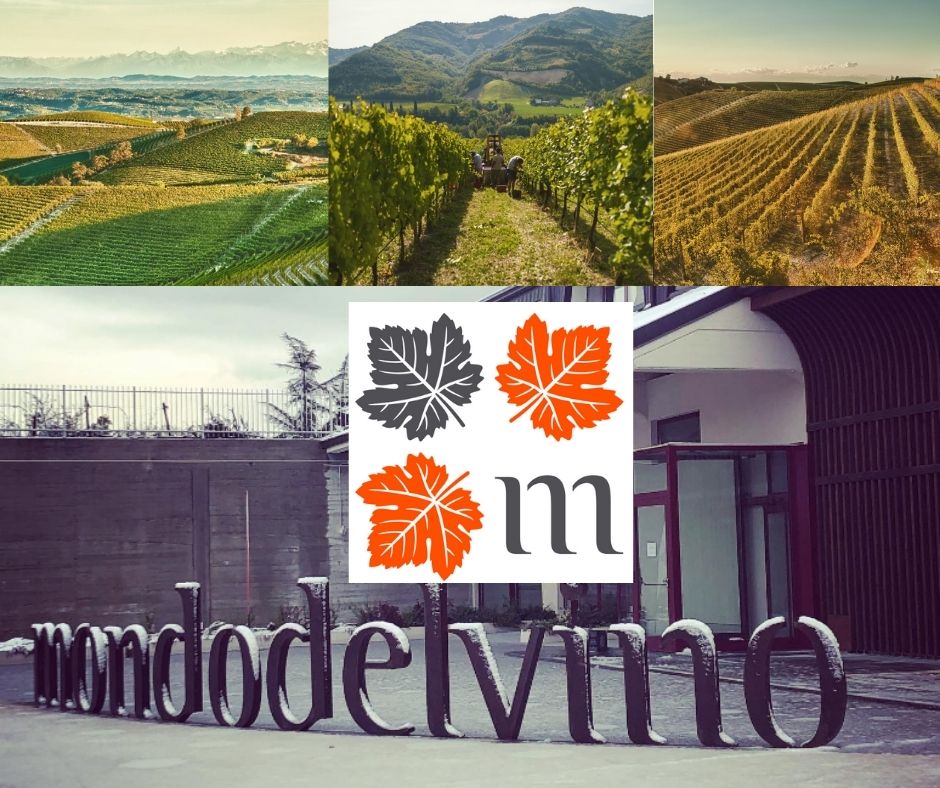 MondodelVino: chai et vignobles