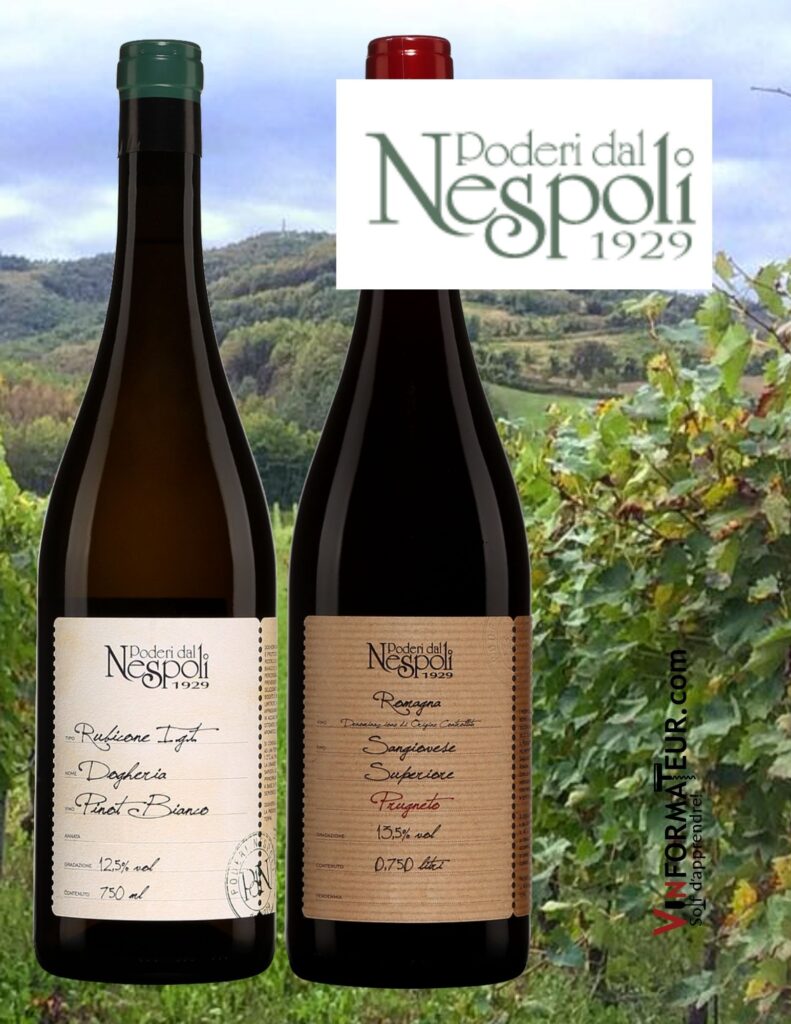 Bouteilles de Sangiovese Superiore, Prugneto, Poderi dal Nespoli, Italie, Émilie Romagne, Romagna, Valle del Bidente, 2019, Pinot Bianco, Rubicone IGT, Poderi dal Nespoli, Italie, Émilie Romagne, Romagna, Valle del Bidente, 2020