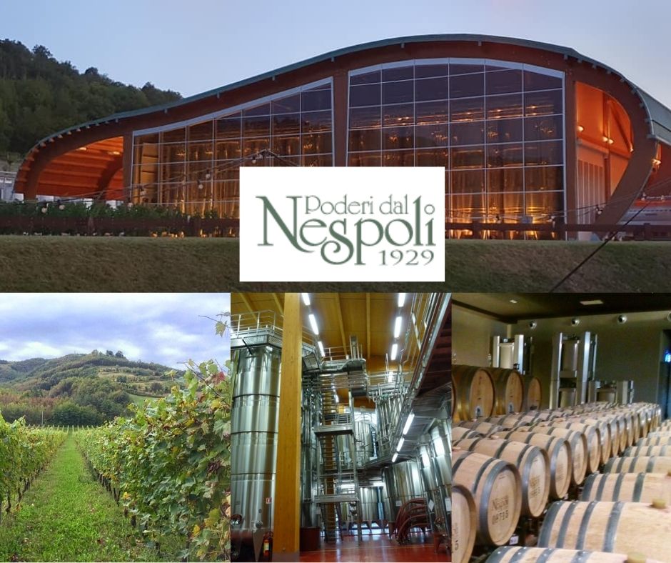 Poderi dal Nespoli: chai et vignobles