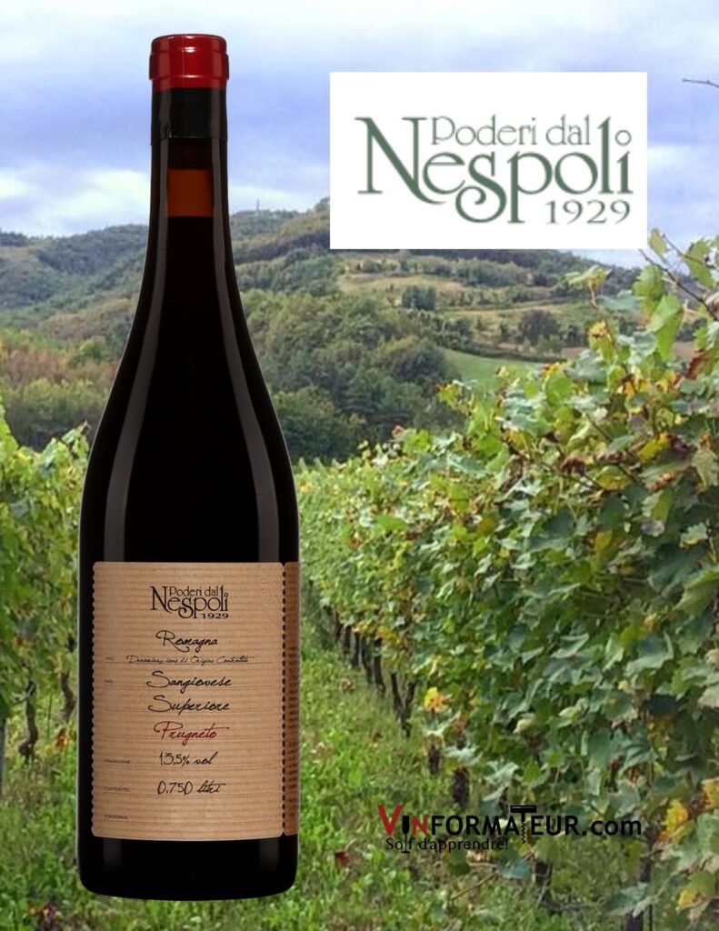 Bouteille de Sangiovese Superiore, Prugneto, Poderi dal Nespoli, Italie, Émilie Romagne, Romagna, Valle del Bidente, 2019