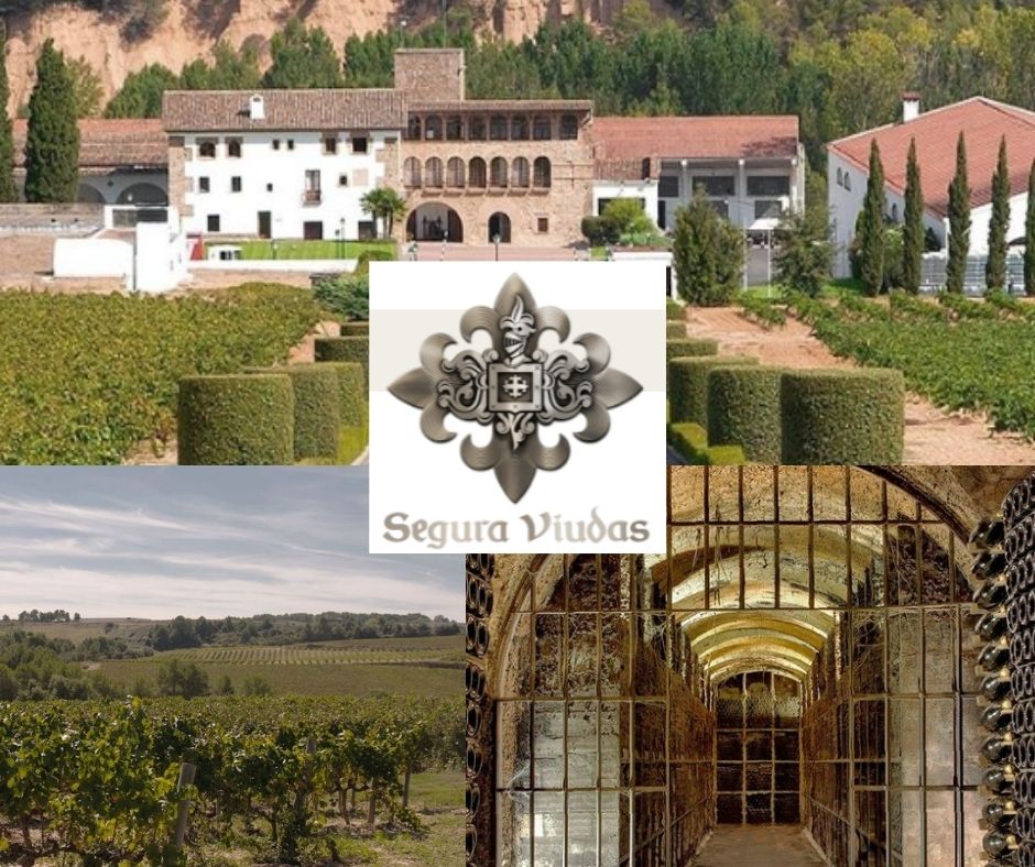 Segura Viudas: chai et vignobles