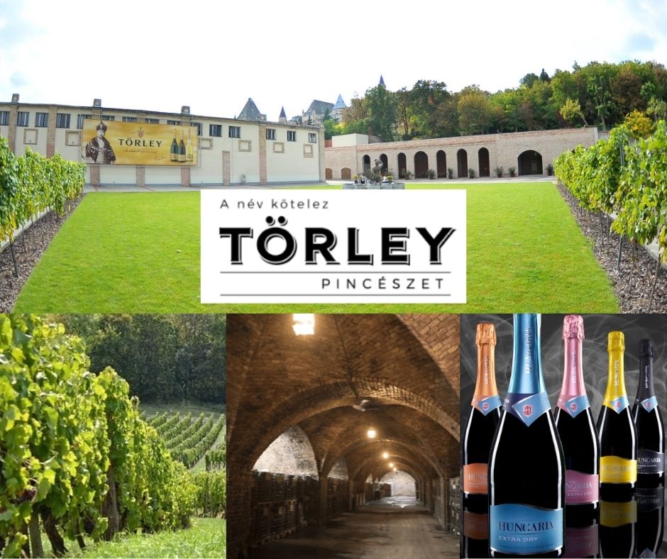 Torley: chai et vignobles