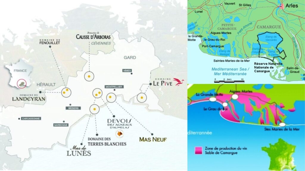 Cartes viticoles Vignobles JeanJean, Camargue