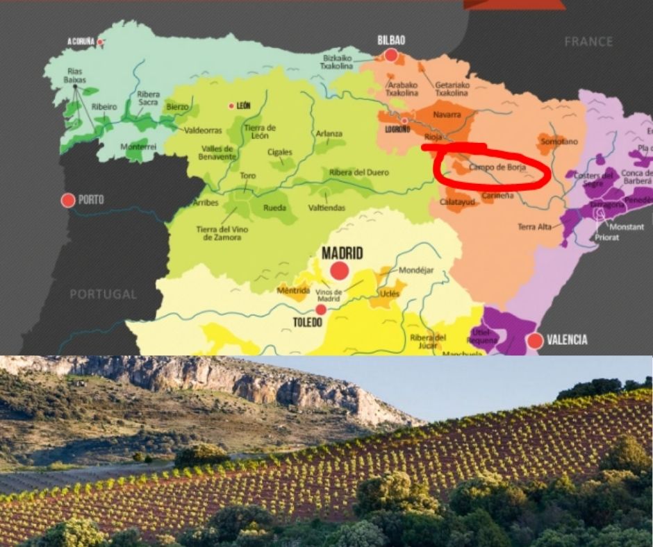 Carte viticole Aragon, Campo de Borja