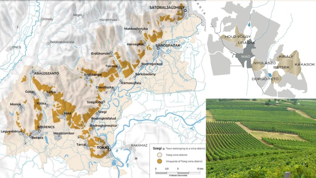 Carte v iticole de la région Tokaj et vignobles du Domaine