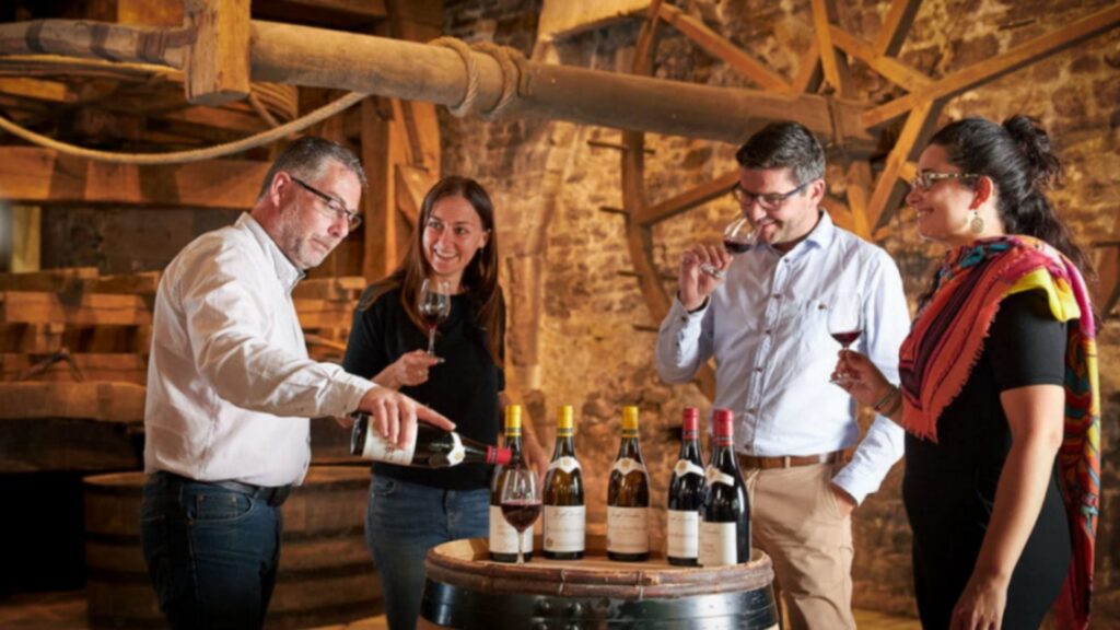Dégustation suite à la visite de l'oenothèque (site Joseph Drouhin)