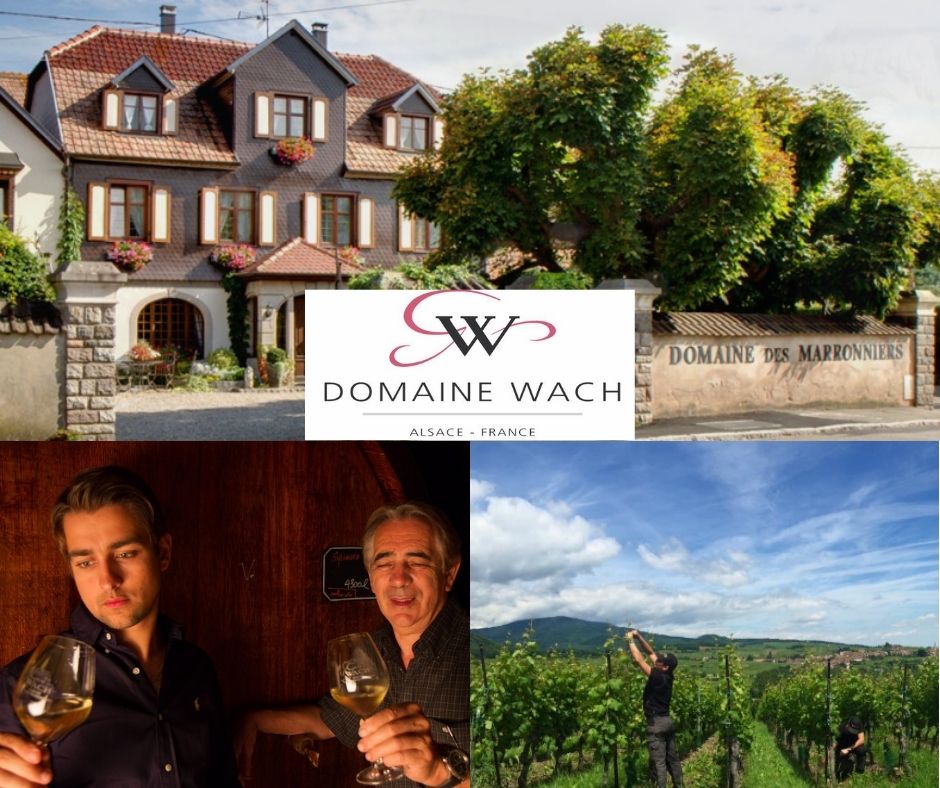 Domaine Wach: famille Wach, chai et vignobles