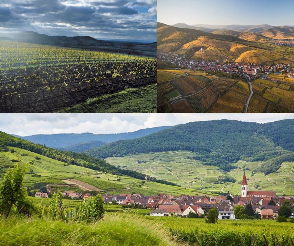 Vignobles d'Alsace