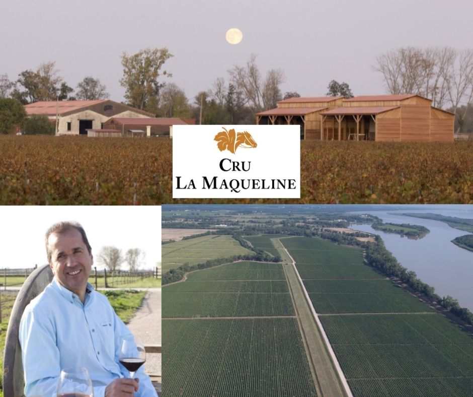 Cru La Maqueline: Pierre Castel, chai et vignobles