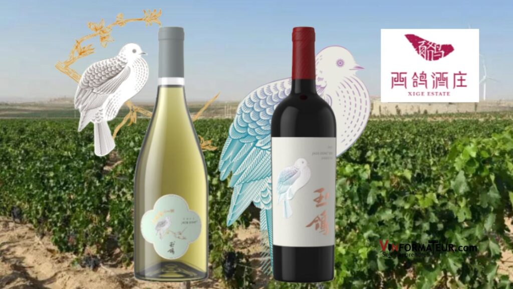 Bouteilles de Chardonnay, Jade Dove, Single Vineyard, Chine, Ningxia, Xige Estate, 2019, Cabernet-Sauvignon, Merlot, Jade Dove, Single Vineyard, Chine, Ningxia, Xige Estate, 2018
