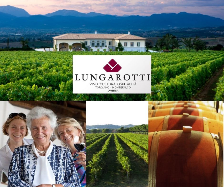 Cantine Lungarotti: Chiara, Maria Granza et Teresa, chai et vignobles