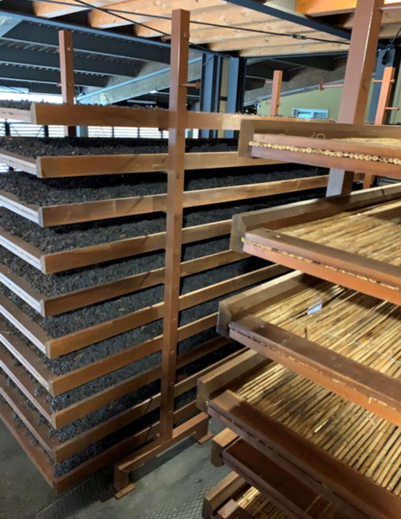 Processus de séchage sur claies appassimento