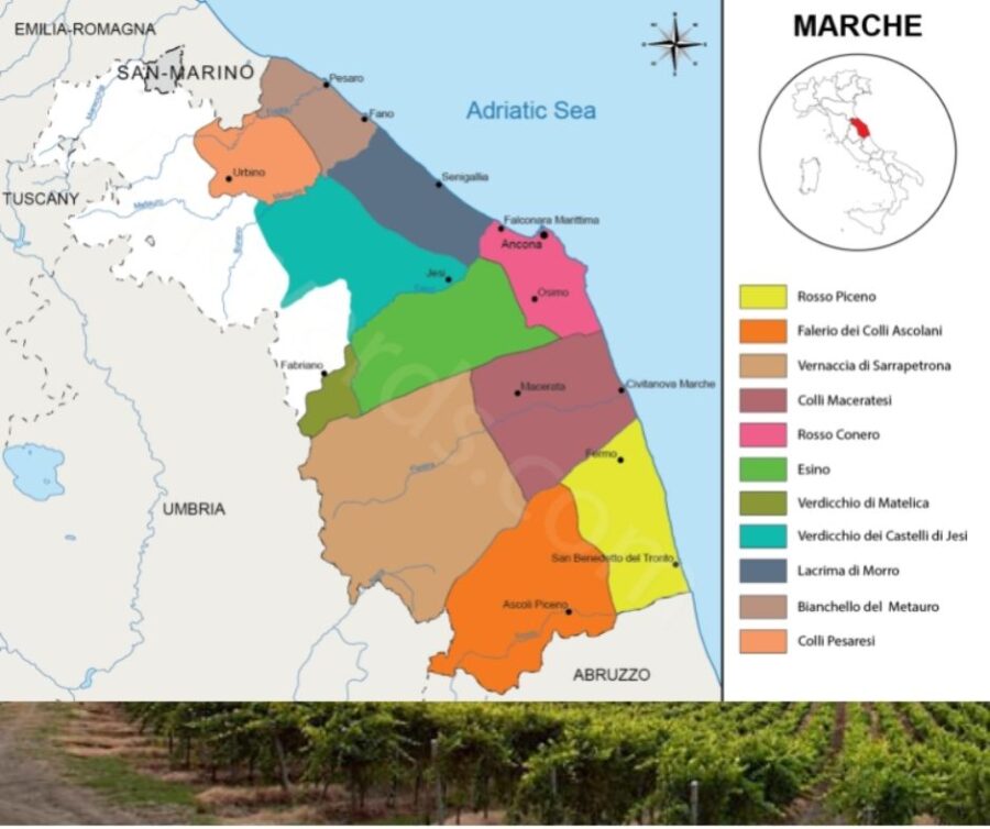 Carte viticole Les Marches