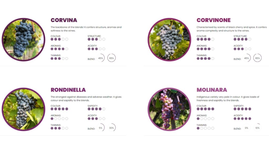 Cépages Valpolicella