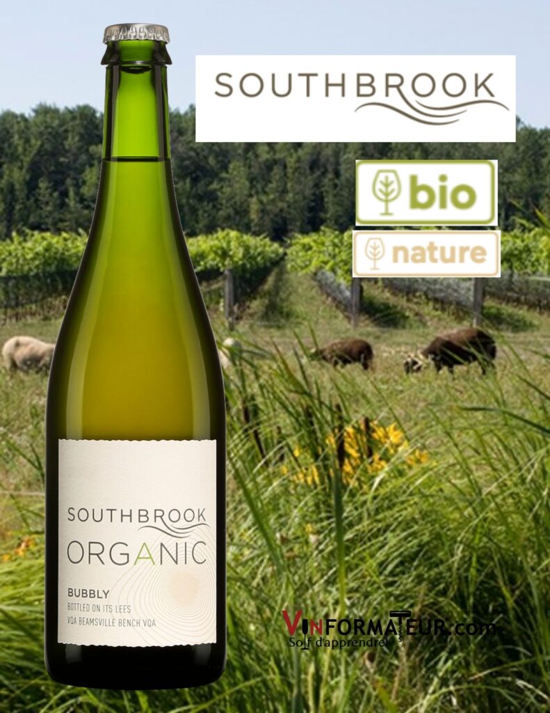 Bouteille de Southbrook, Bubbly, Pet-Nat, Canada, Ontario, Péninsule du Niagara, Lincoln Lakeshore, vin blanc bio et nature, 2020