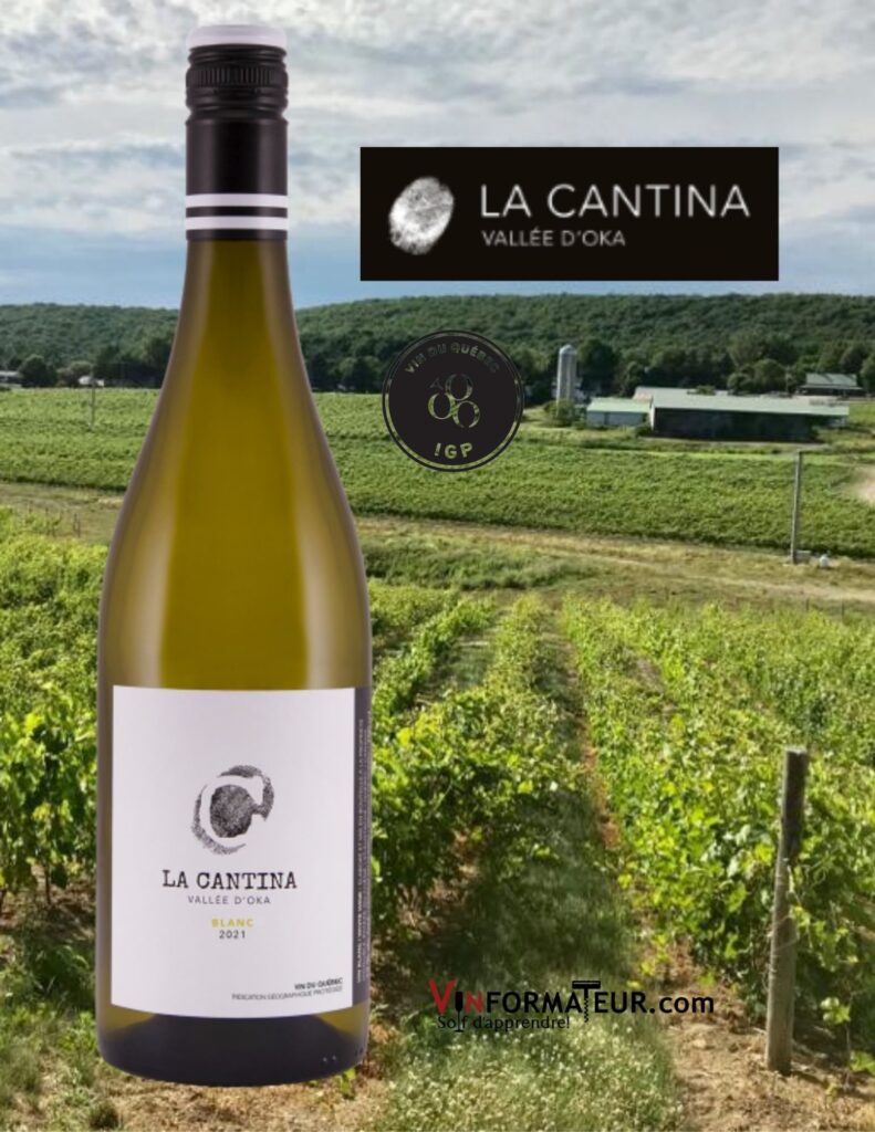 Bouteille de La Cantina, Vallée d’Oka, IGP, Blanc, 2021