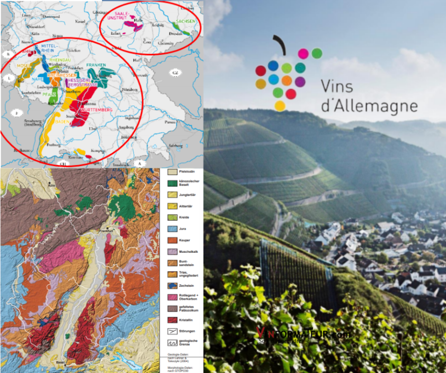Carte viticole des vins Allemagne