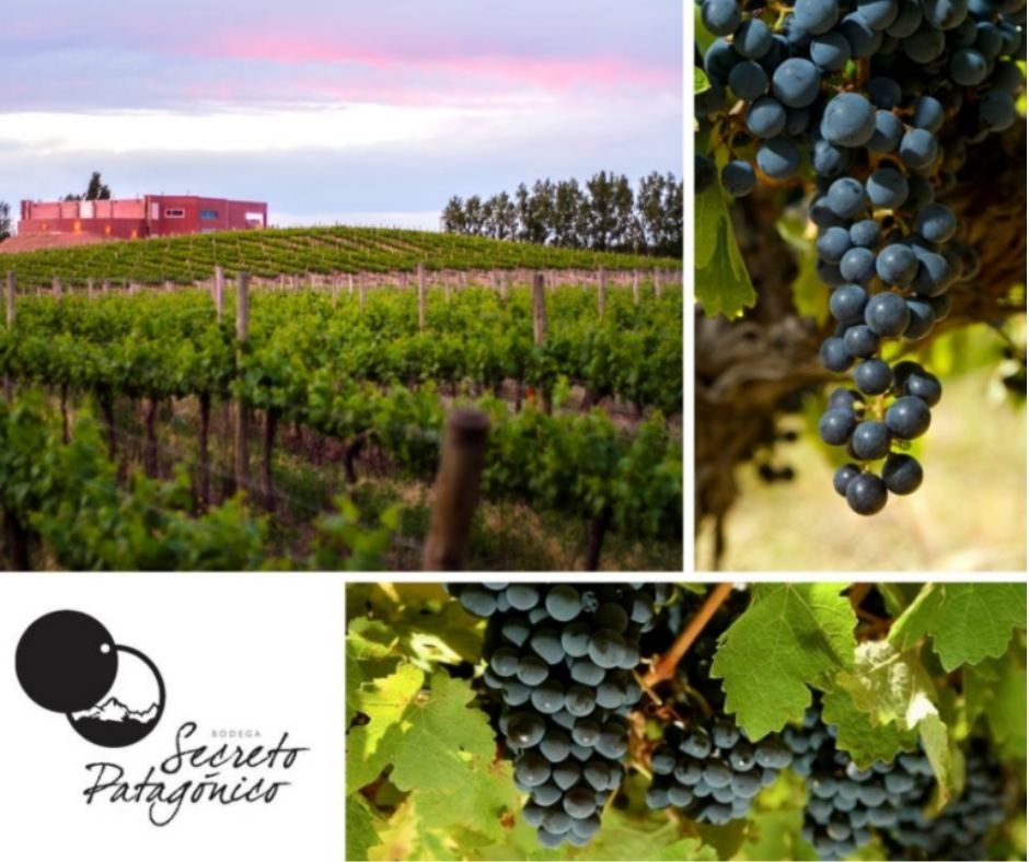 Bodega Secreto Patagonico: chai et vignobles