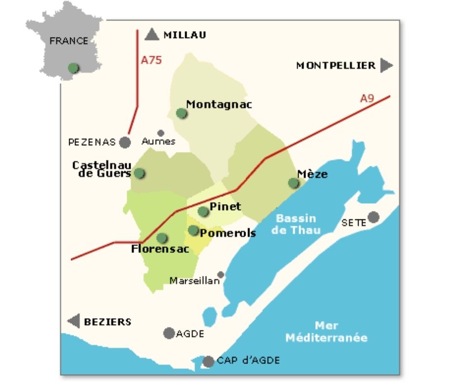 Carte viticole AOP Picpoul de Pinet