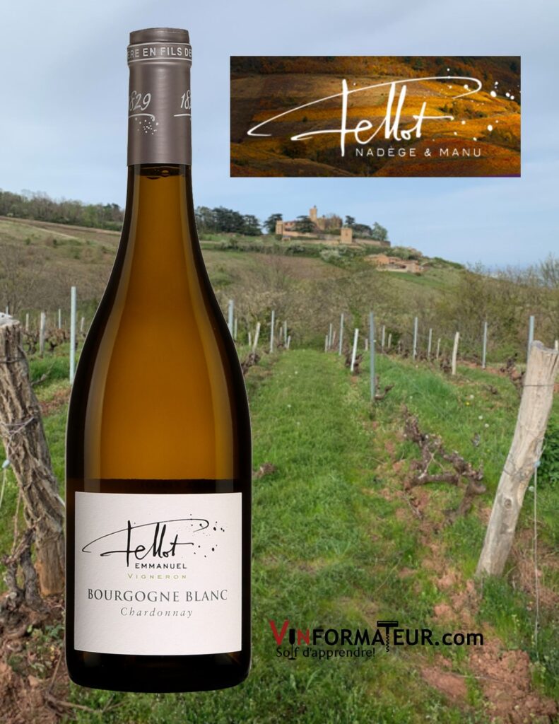 Bouteille de Chardonnay, Bourgogne blanc (Beaujolais), Domaine Emmanuel Fellot, vin blanc nature, 2018