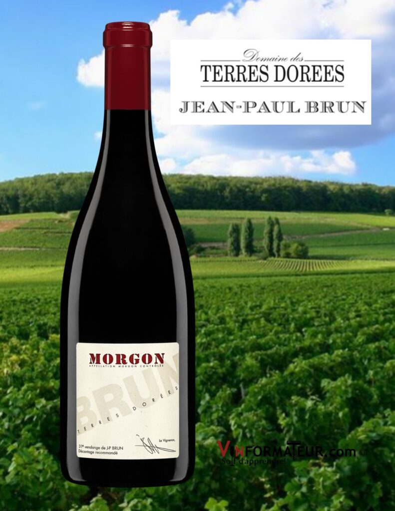 Bouteilles de Terres Dorées, Beaujolais, Morgon, Jean-Paul Brun, 2020