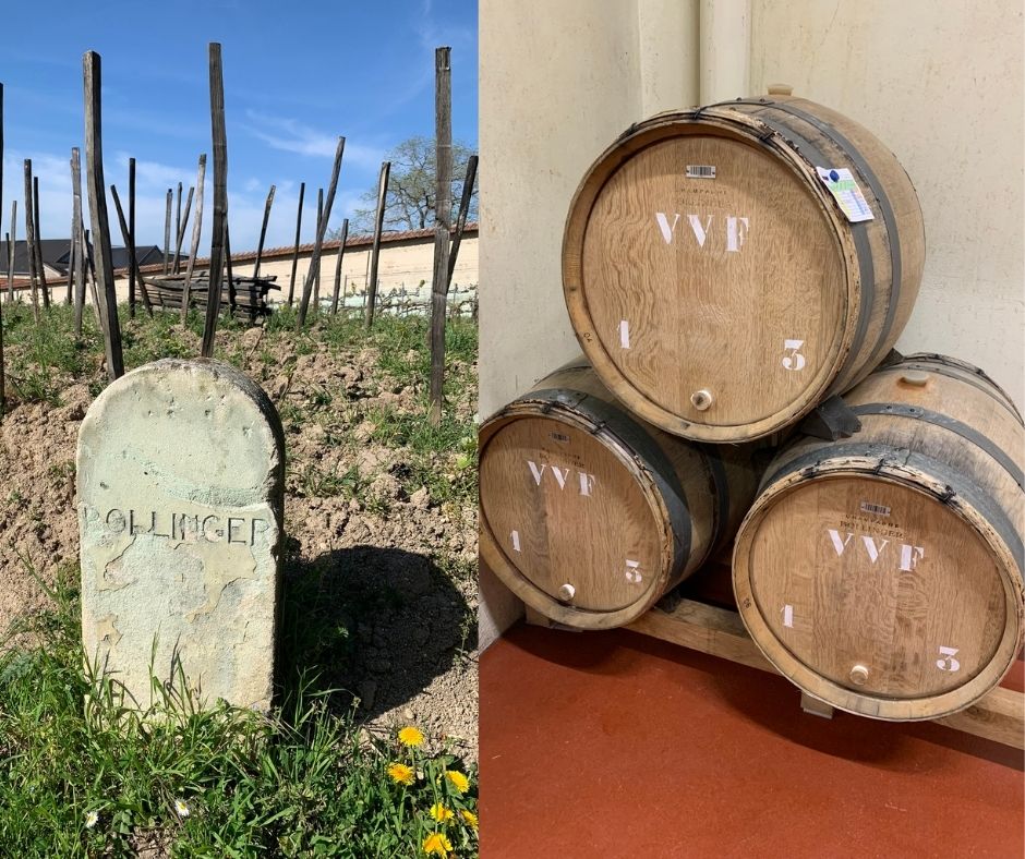 VChampagne Bollinger Vignobles vieilles vignes françaises et barriques