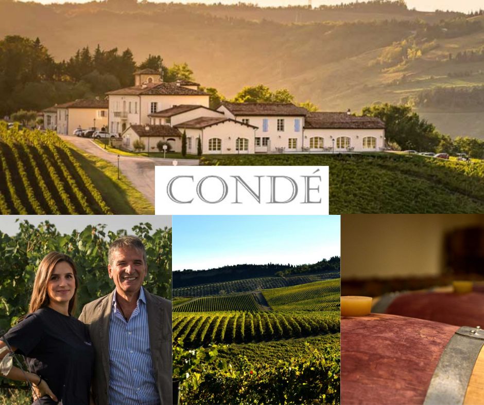 Azienda Agricola Condé: Chiara et Fancesco Condello, chai et vignobles