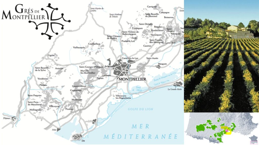 Carte viticole Grés de Montpellier