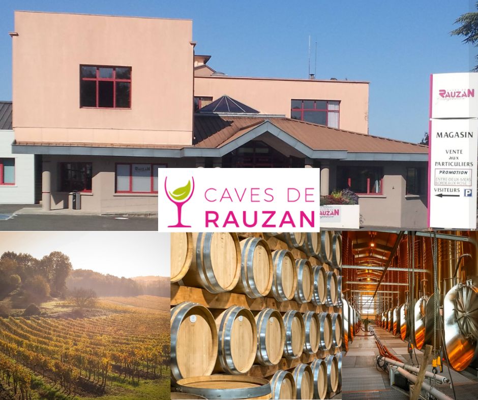 Caves de Rauzan: chai et vignobles