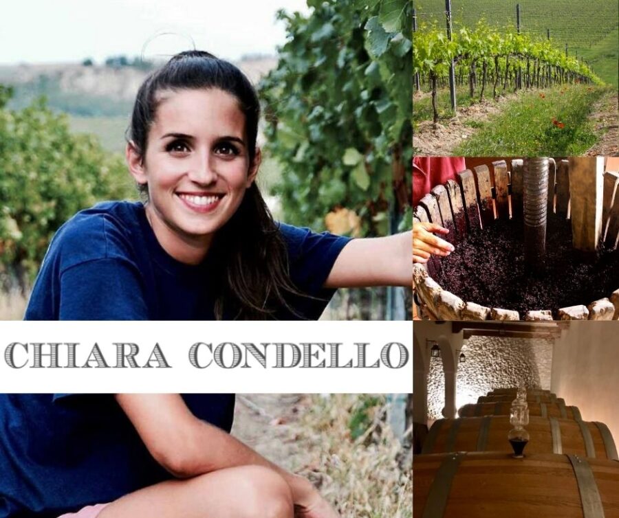 Chiara Condello: chai et vignobles