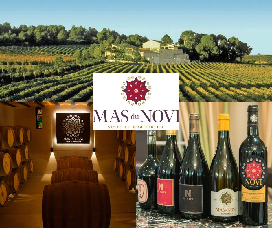Mas du Novi: chai, vignobles et bouteilles de vin
