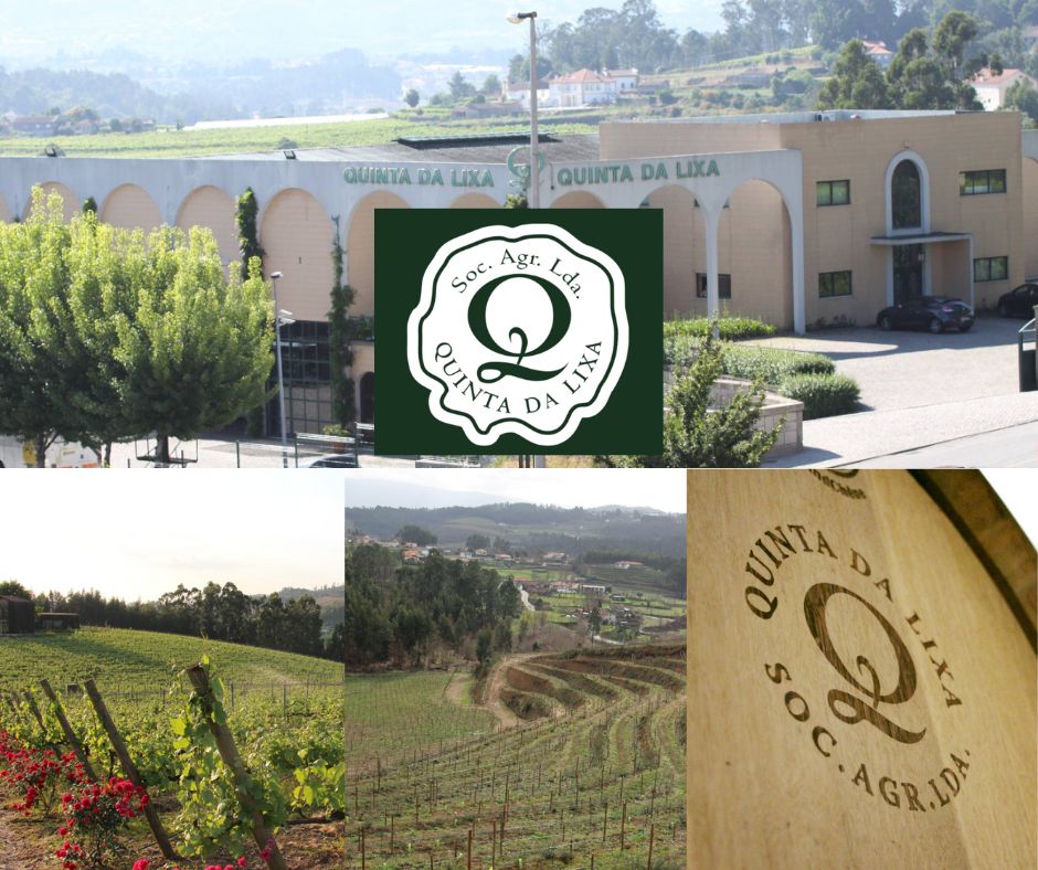 Quinta da Lixa: chai et vignobles